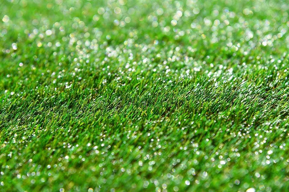 Artificial grass in Adelaide